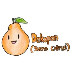 Icon für Dekopon